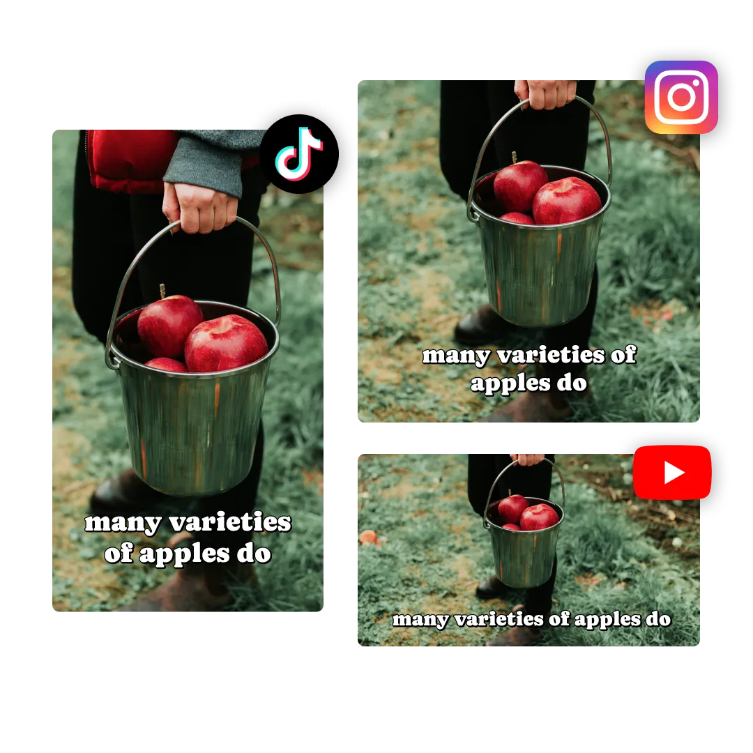 Generate Marketing Videos At A Low Cost